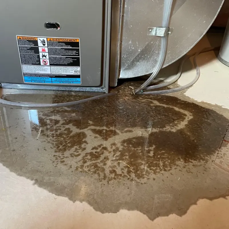 Appliance Leak Cleanup in Hickam Field, HI