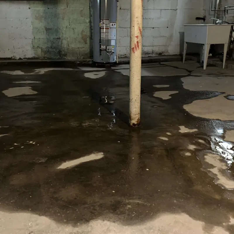 Emergency Water Extraction And Removal in Hickam Field, HI